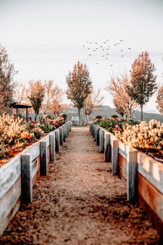 add structure with raised beds